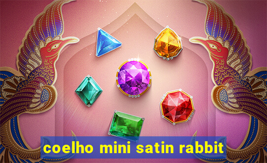 coelho mini satin rabbit